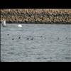 IMG_6476
3/21/2007 1:26:19 PM
